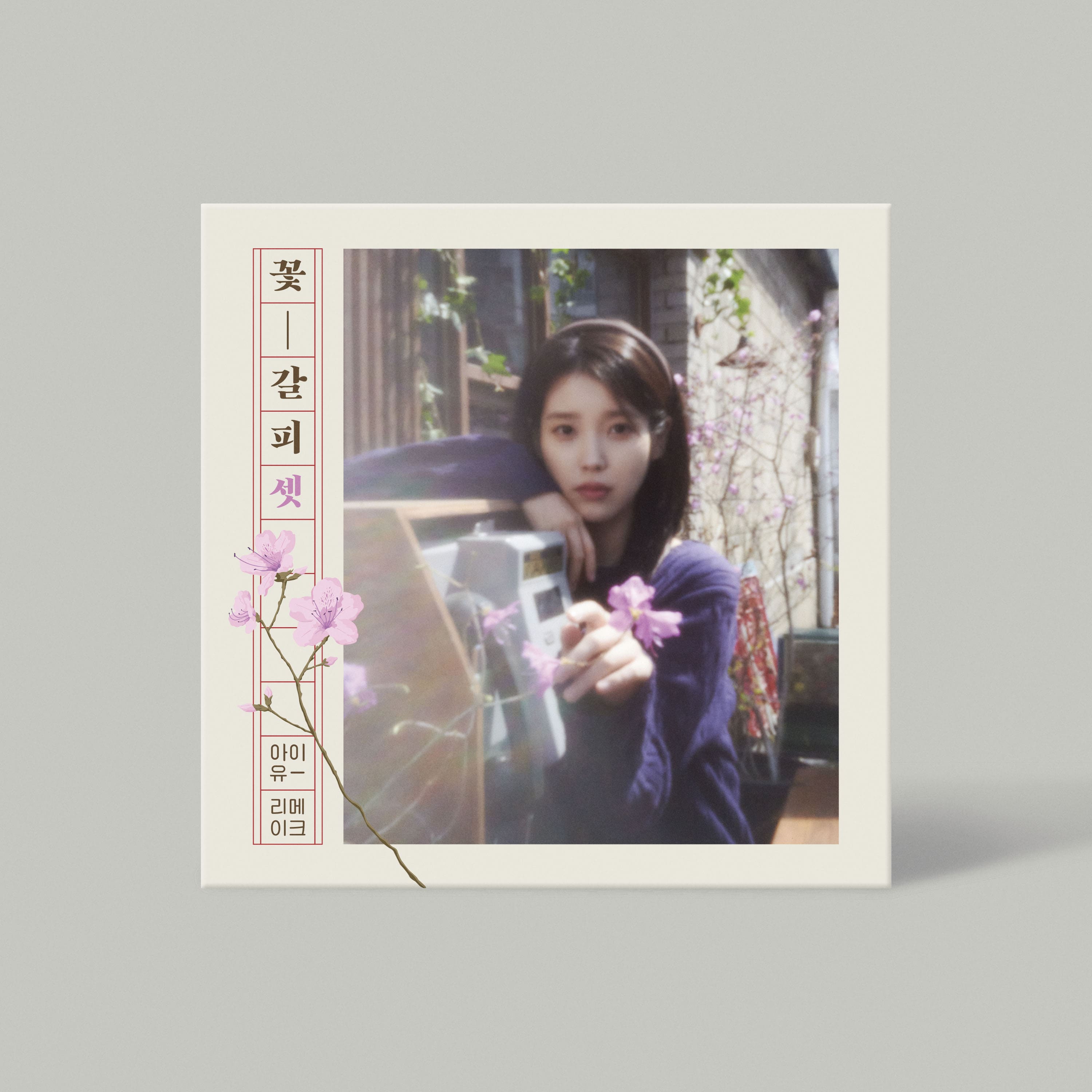 IU EP Album [Kkot-Galpi 3]