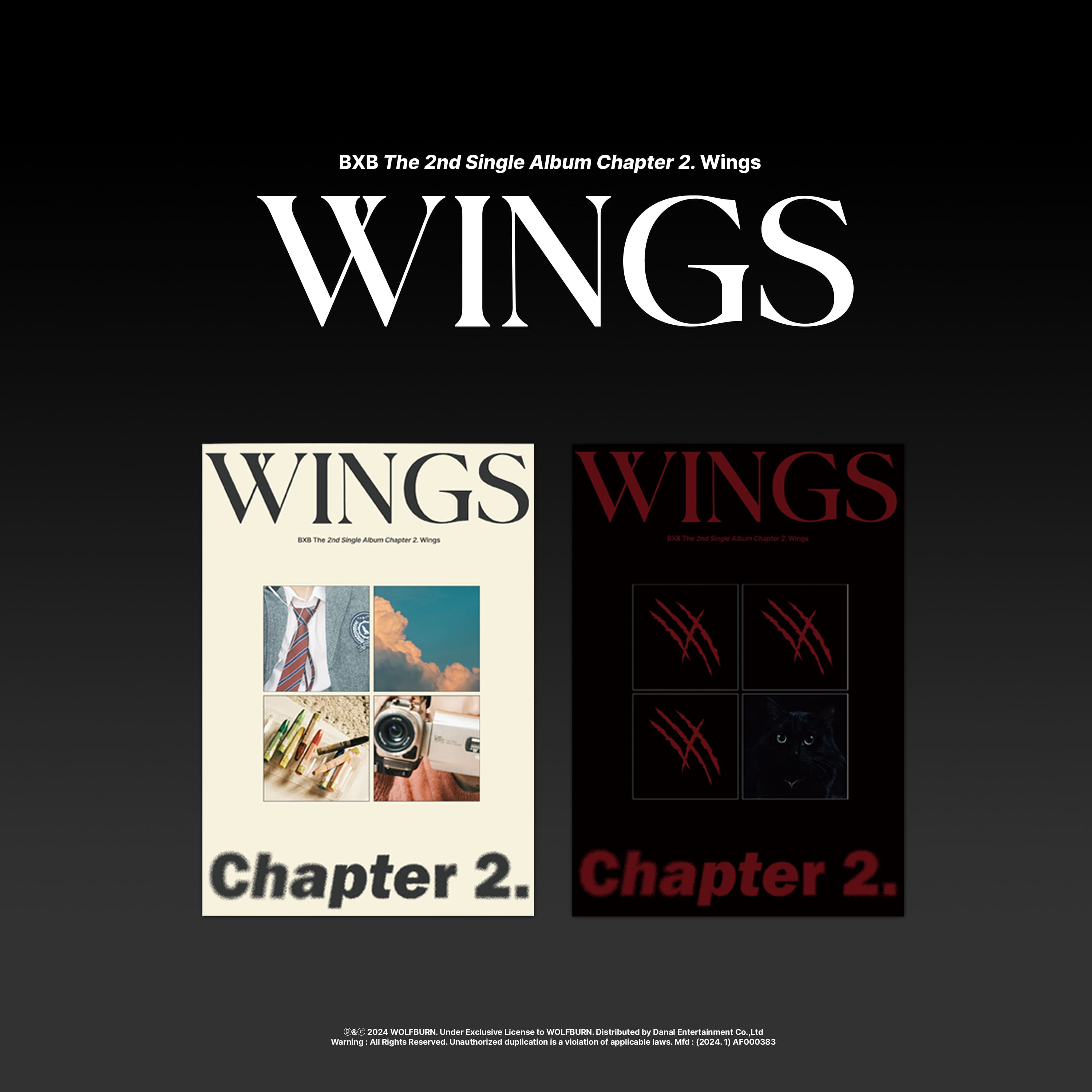 BXB Chapter 2. Wings