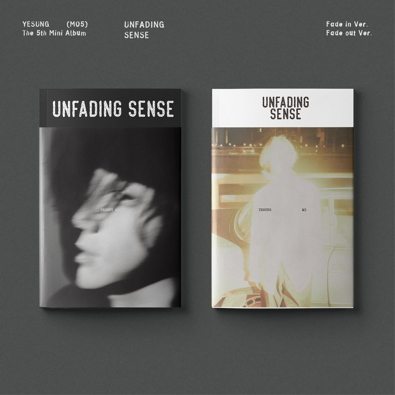YESUNG 5th Mini Album [Unfading Sense] (Photo Book Ver.)