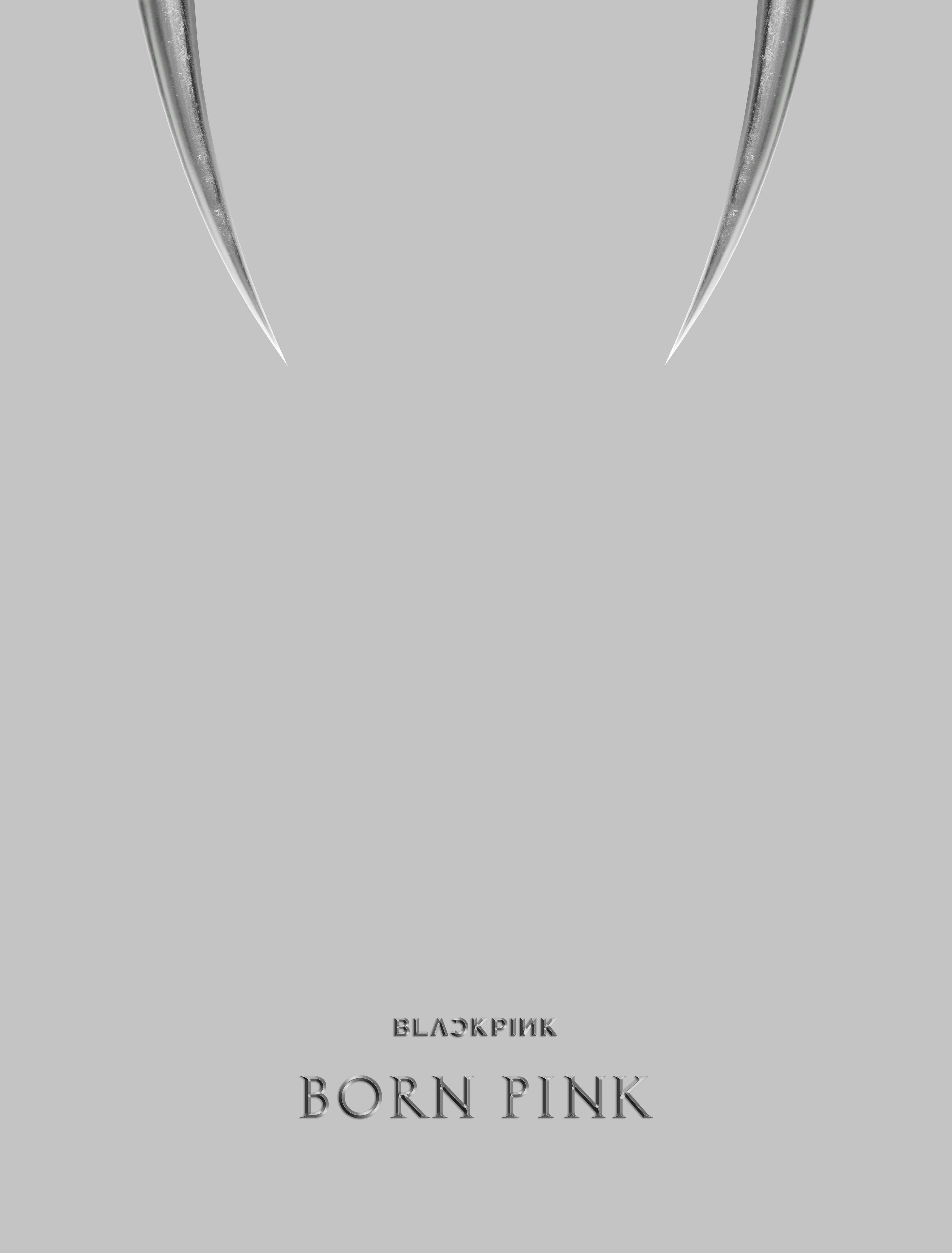 BLACKPINK - 2nd ALBUM [BORN PINK] (BOX SET Ver.)